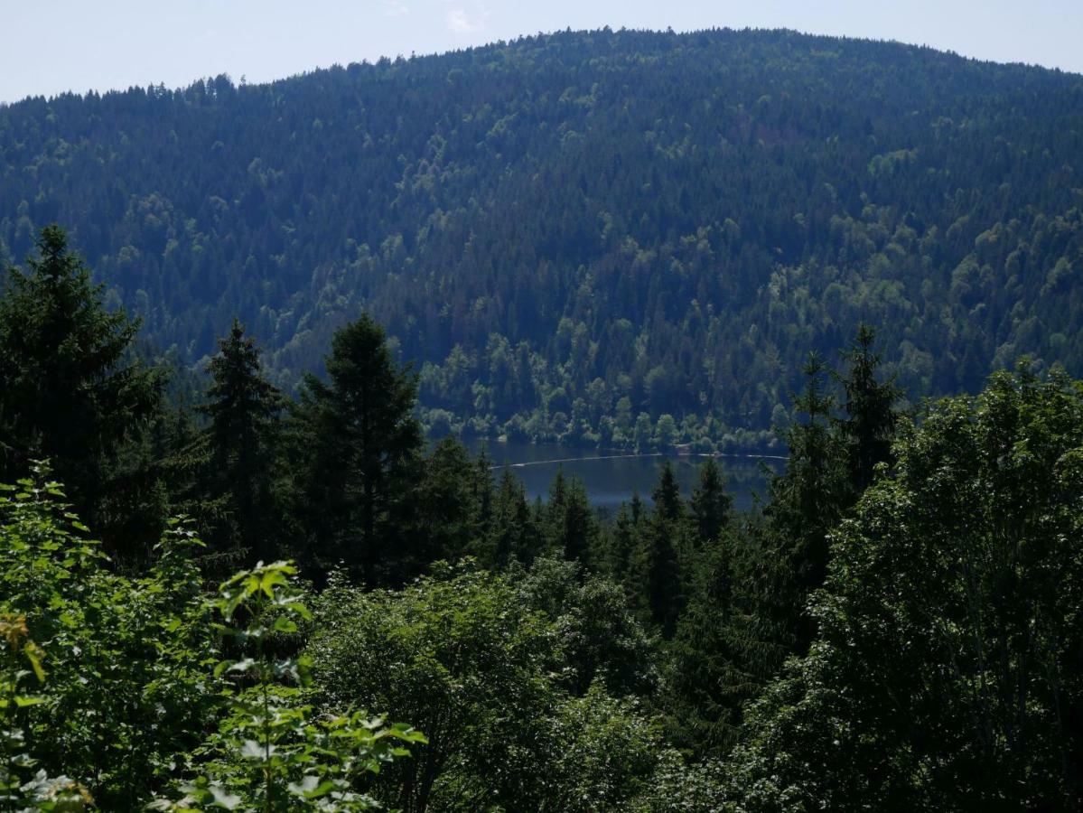 Haus Vita Ferien- Und Seminarhaus Urberg Екстер'єр фото