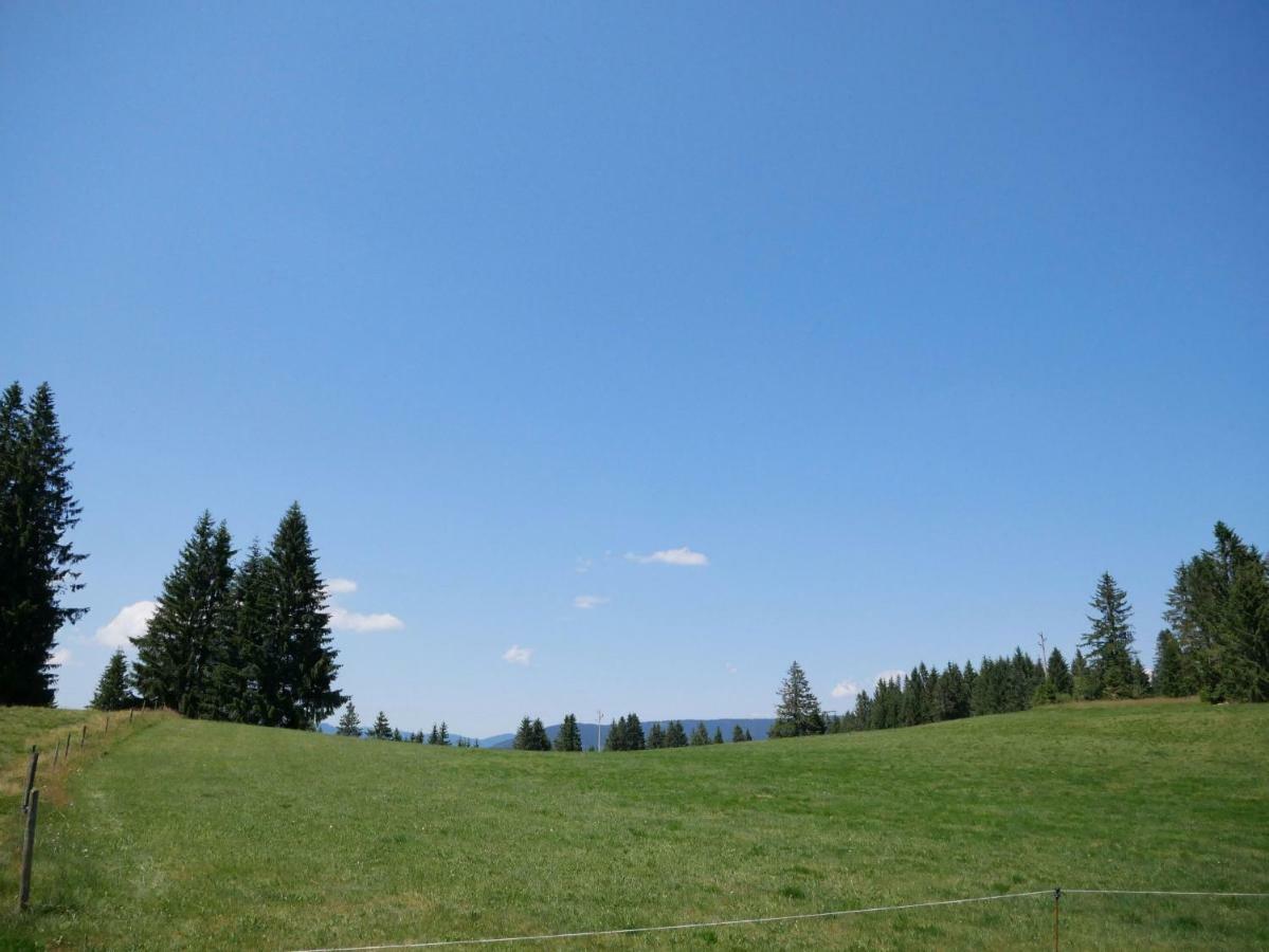 Haus Vita Ferien- Und Seminarhaus Urberg Екстер'єр фото